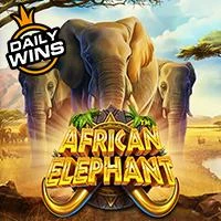 Slot Demo African Elephant™