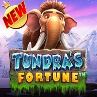 Slot Demo Tundra’s Fortune™